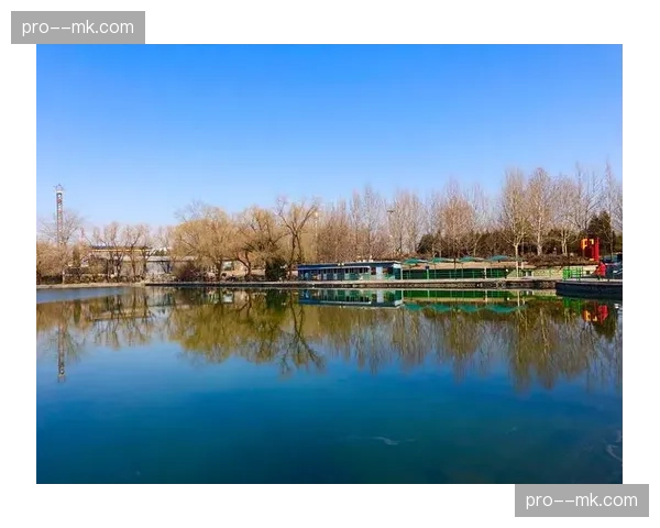 北京朝阳公园BMX主题周末活动吸引超千名青少年体验